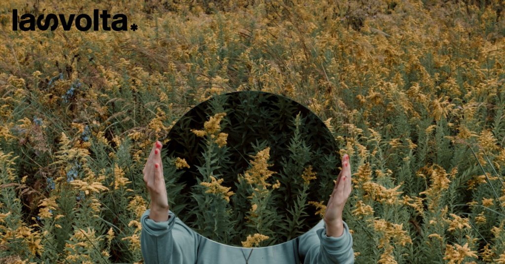 Screen in Green: così l’ambiente sbarca a Venezia