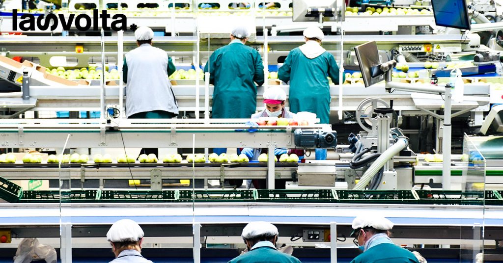 Biologico: perché è un settore su cui investire