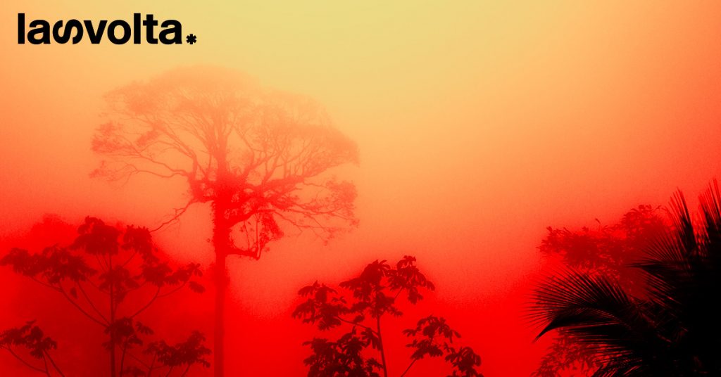 Dovremo dire addio all’Amazzonia?