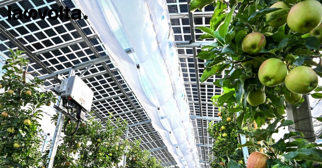 Anie e Unionplast unite per le rinnovabili