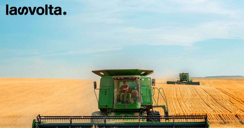 Abbiamo grano a sufficienza per l’inverno?