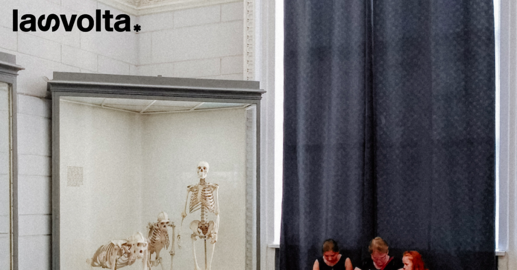 Tutti insieme al museo. Oggi è gratis!