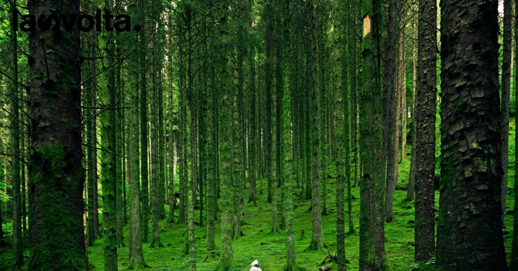 Anche la natura ha bisogno di un avvocato