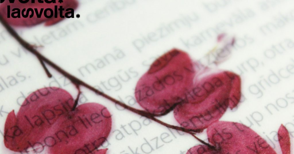 Anche la Poesia avrà un Premio Strega