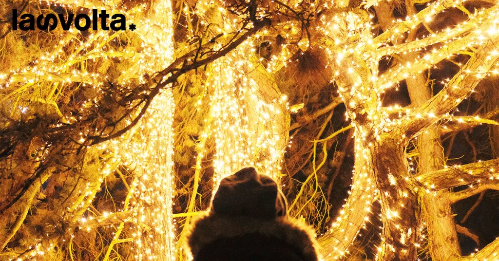 Rincari: sarà un Natale in rosso?