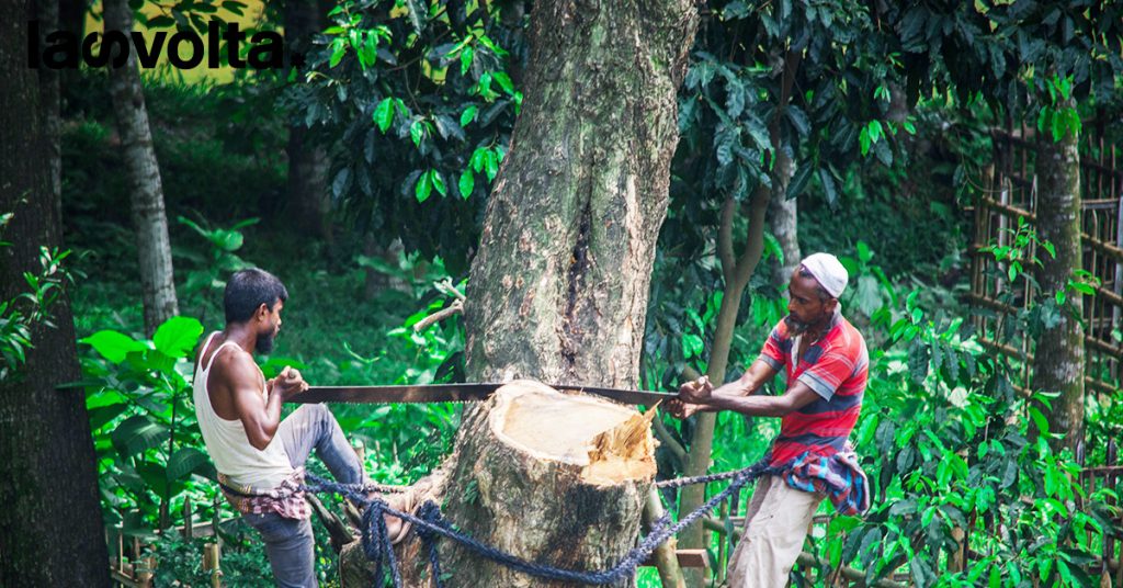 La deforestazione rallenta troppo lentamente