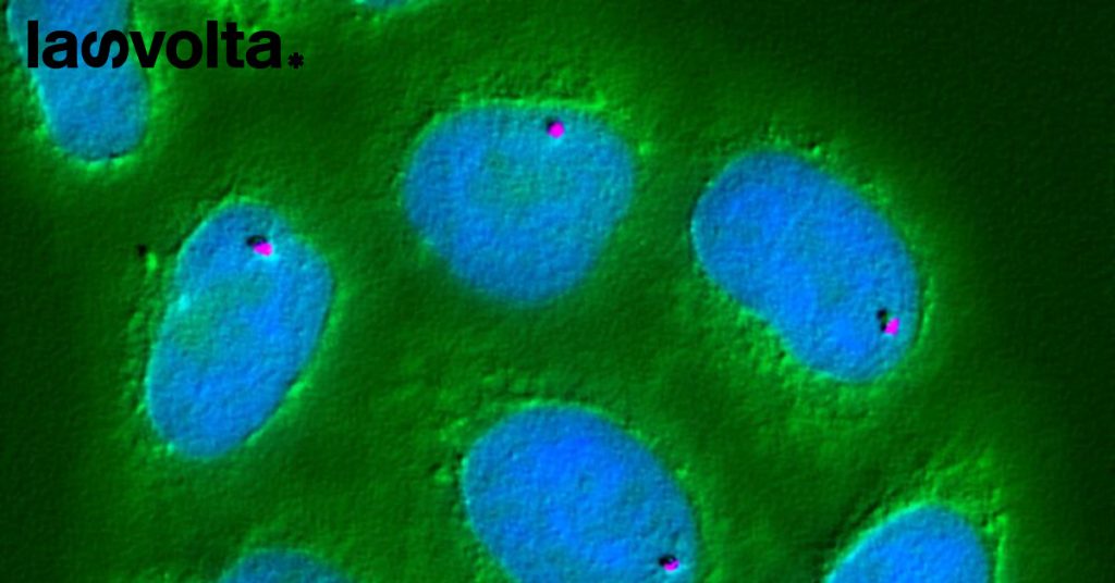 Qual è il futuro del sequenziamento del genoma?