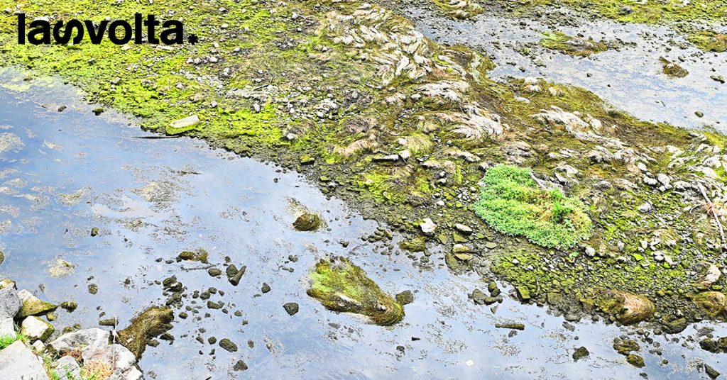 Bankitalia: la crisi climatica peserà sul Pil