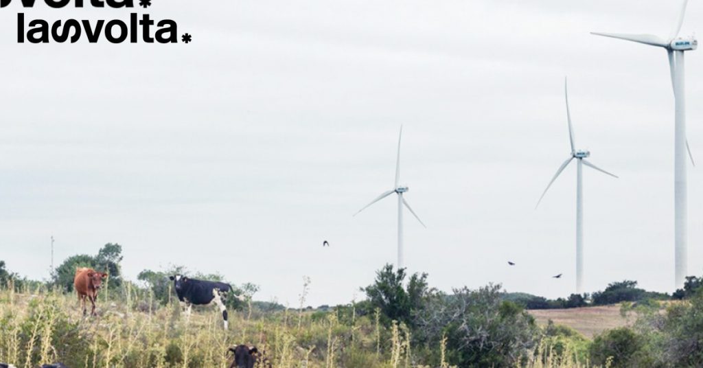 Il mio verde, verde Uruguay