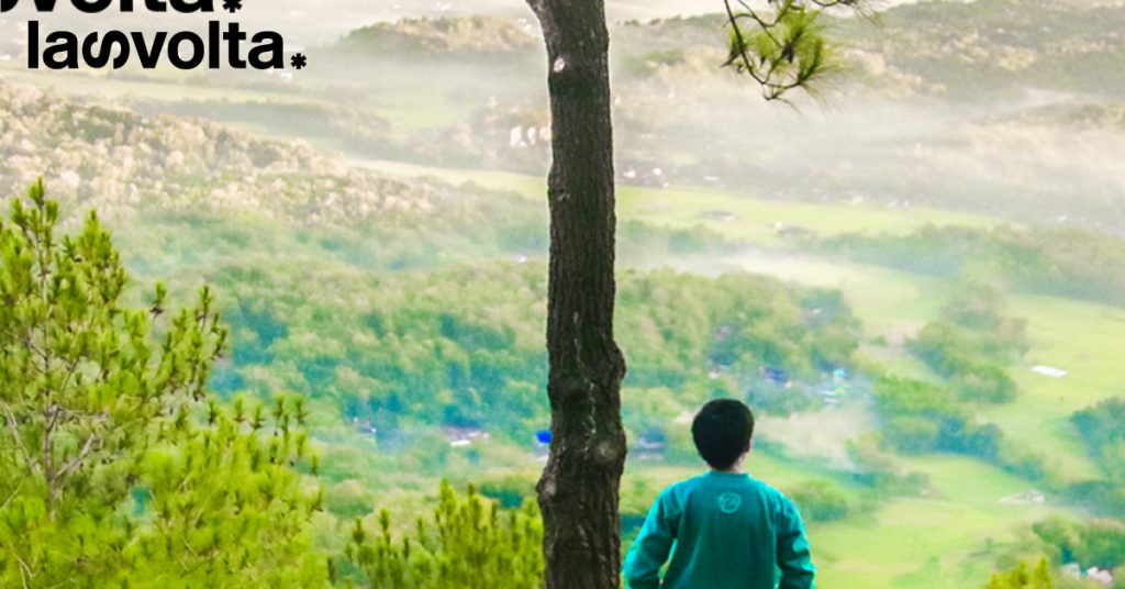 Discorsi… da alberi