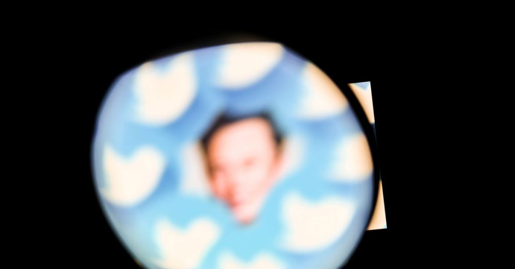 Twitter e il Digital Services Act