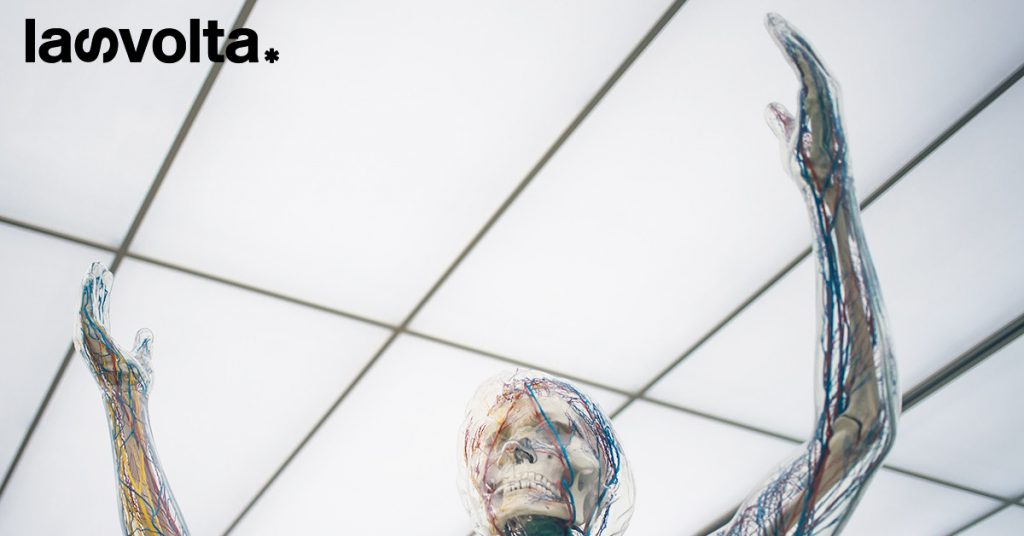Cosa succede quando doni il tuo corpo alla scienza?