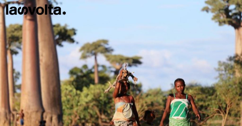 Africa’s food crisis and looming population surge