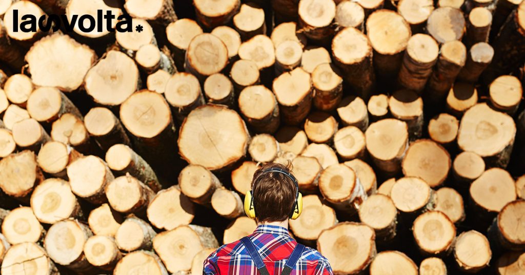 Come possiamo combattere la deforestazione?