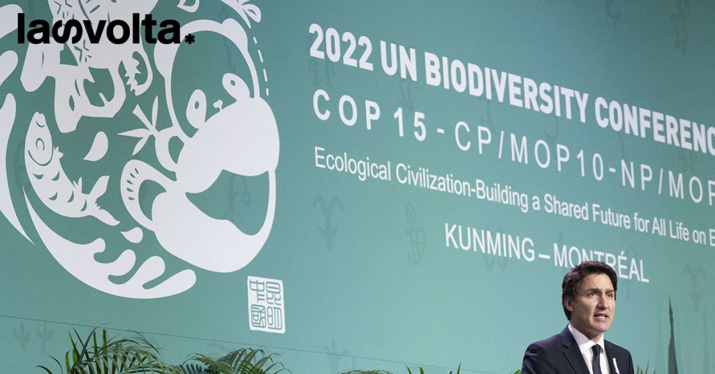 Accendiamo i riflettori su Cop15