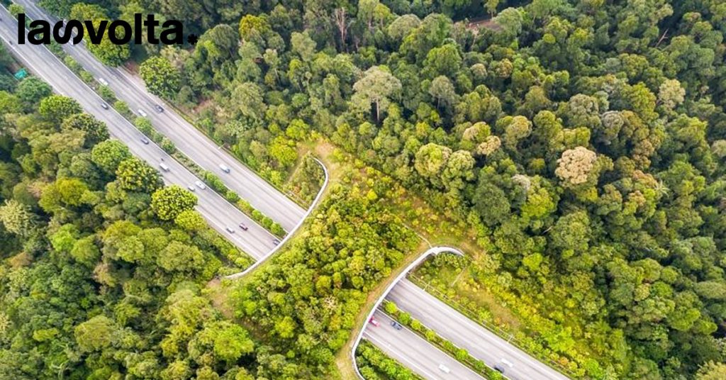 Che cos’è un corridoio ecologico?