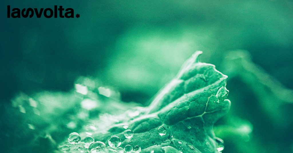 Servono più fondi per affrontare il climate change (e le altre crisi)