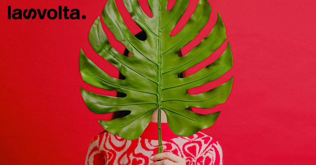 Shell investe nei carbon credits. Ma servono davvero?