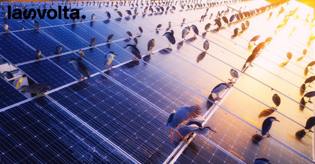 Sostenibilità: per il 90% delle imprese costa troppo