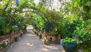 Giardino rigoglioso - fonte_Canva - LaSvolta.it