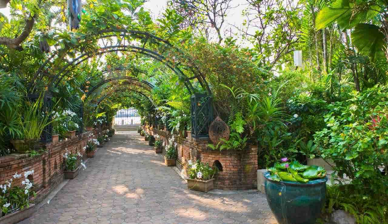 Il FERTILIZZANTE che non ti aspetti a costo zero | Il tuo giardino non sarà mai così bello