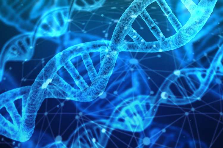 DNA - fonte_Canva - LaSvolta.it