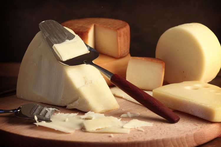 Formaggio - fonte_Canva - LaSvolta.it