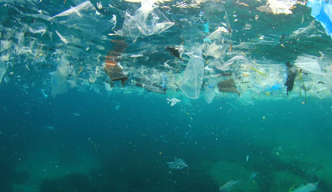 Altro che BANDIERA BLU, questo è il mare più inquinato d’Italia | Un solo tuffo e rischi il ricovero