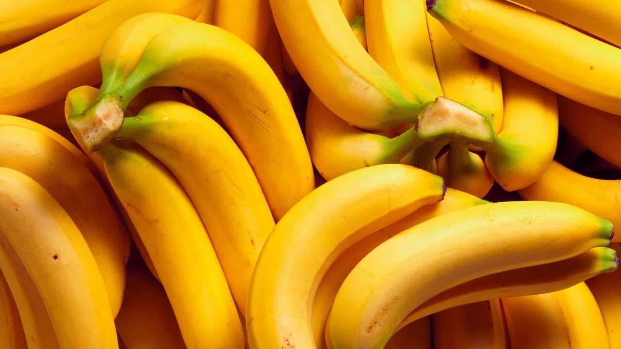 Sneakers vegane dalle banane: l’invenzione che può cambiare il futuro della moda sostenibile