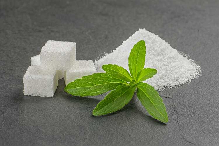 Stevia - fonte_Canva - LaSvolta.it