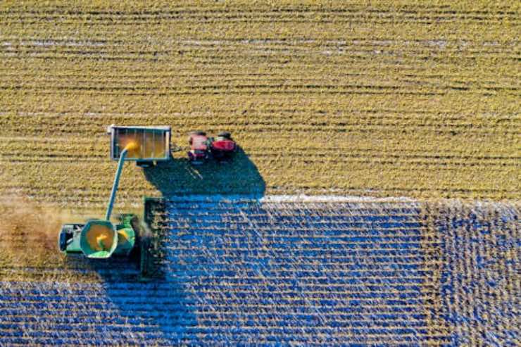 Agricoltura - fonte_Pexels - LaSvolta.it