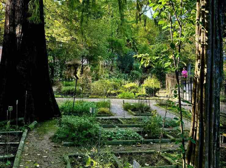Orto Botanico - fonte_Facebook - LaSvolta.it.