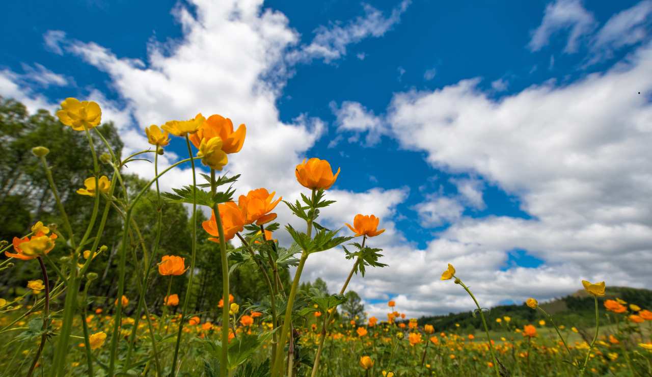 La città dell’eterna primavera, qui il clima è il migliore dell’Italia intera | Il tuo ottobre dovresti trascorlo sulle sue spiagge