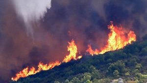 Salvaguardare l'ambiente - fonte_Ansa - LaSvolta.it