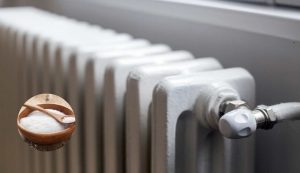 Termosifone - fonte_Canva - LaSvolta.it